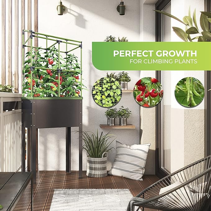 BioGreen Trellis for Raised Garden Bed with Watering System Heidelberg | 2.3 x 2 x 1ft | Ideal Growth for Climbing Plants | Ideal for Balcony/Garden