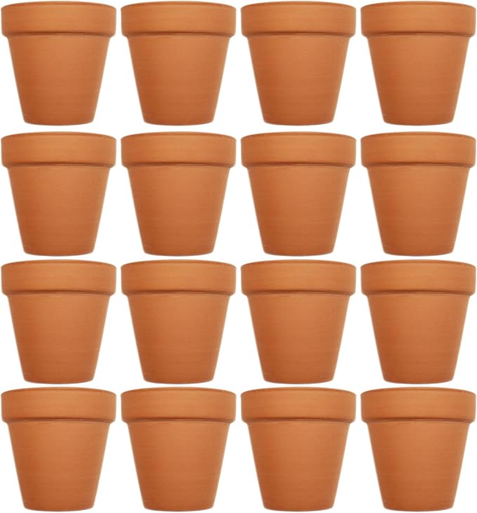 Black Duck Brand Set of 16 Terra Cot Pot Planter 2-1/2" x 2-1/2" Lawn & Garden Mini Flower Pots - 2.5" x 2.5" Terra Cotta (16)
