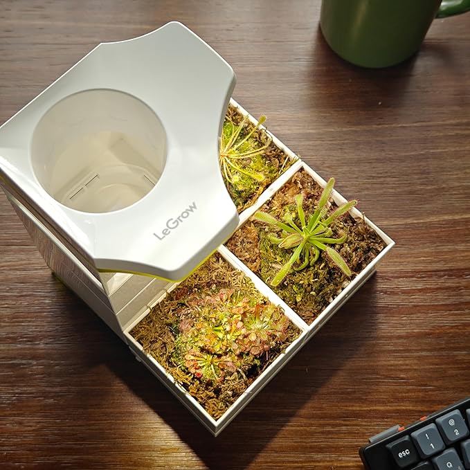 LeGrow Sundew System – Designed for First-Time Growers, Self-Watering Carnivorous Plant Pot with Visible Water Tray & 12H Grow Light for Drosera & Pinguicula [No Plant]