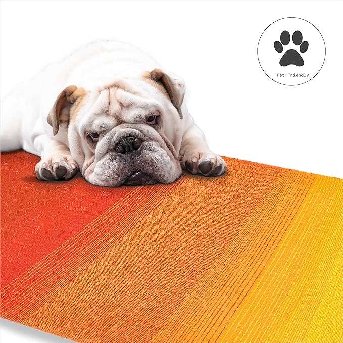 Fab Habitat Outdoor Rug - Waterproof, Fade Resistant, Crease-Free - Premium Recycled Plastic - Ombre Stripe- Porch, Deck, Balcony, Mudroom, Laundry Room, Patio - Big Sur - Sunset - 3 x 5 ft