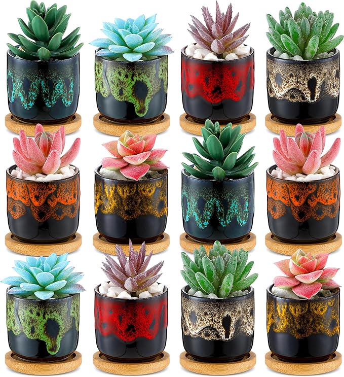 12 Pcs Succulent Pots 2.5 Inch Mini Ceramic Succulent Garden Flower Pots Planters with Drainage and Bamboo Tray for Indoor Garden Plants Planters Colorful Flower Pot(Cylindrical,2.3 Inch H)