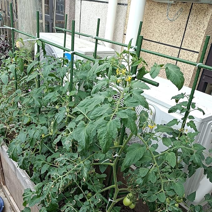 58 Inch Garden Stakes Sturdy Plant Sticks Support Tomato Stakes for Vegetable
