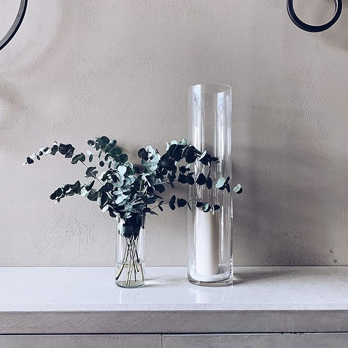 WGV Cylinder Vase Bulk, Width 6", Height 16", Clear Glass Container Terrarium Candle Holder for Wedding Centerpiece, Party Event, Home Office Decor, 6 Pieces
