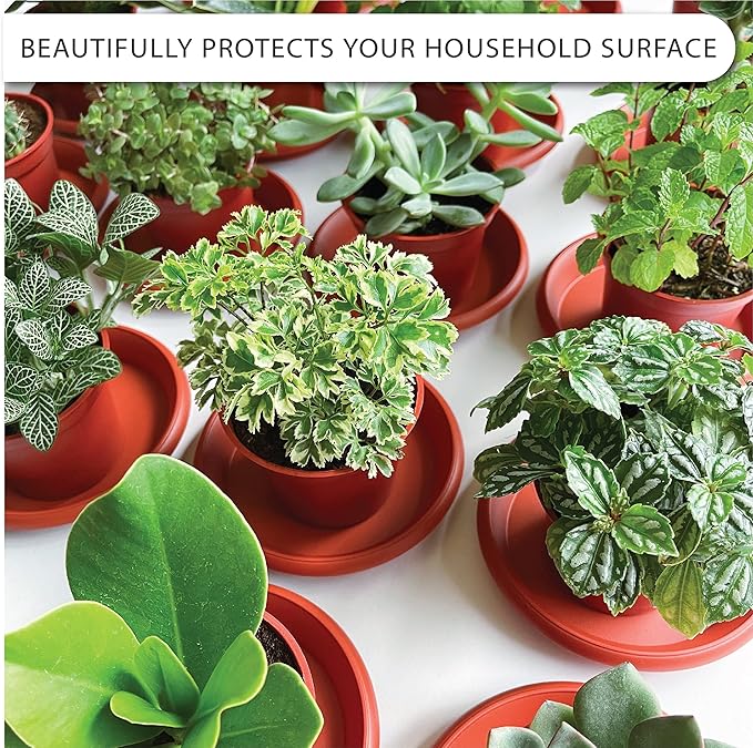 Plant Saucer 6 Pack Drip Trays Planter Pot Base Heavy Duty Plastic Drainage Tray for Indoor Houseplants Outdoor Garden 5 inch 8 inch 11 inch 3 Sizes 2 Each Round (Terracotta)