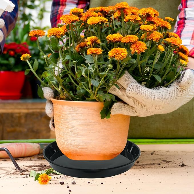 Plant Saucer Tray 6 inch, 6 Pack Plastic Plant Saucers for Indoors Outdoor, Heavy Duty Drainage Drip Water Trays for Planter Pots Flower, saucers for potted plants (6", Black)