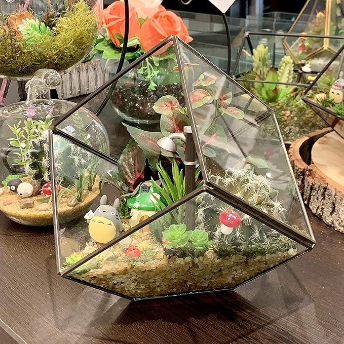 WGV Geometric Planter Terrarium, Width 8" Height 8.5" Clear Glass Black Frame DIY Succulent air Plant Miniature Fairy Garden Windowsill Tabletop Decor, Tilted Cube 1 Piece