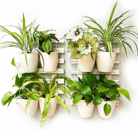 ShopLaLa Wooden Wall Planters - 2 Pack Wall Hanging Planters for Indoor Plants, White Rustic Wood Wall Mounted Flower Pot Holder Vertical Succulent Orchid Airplant Frame Display 15.7" (40cm)