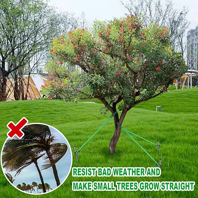 Heavy Duty Tree Stake Kit - Tree Stakes & Straps for Straightening Young Trees, Garden Tree Supports, 6pcs Metal Stakes, 6pcs Rope for Anchoring