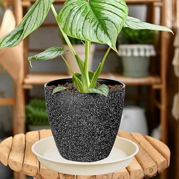 6 Pack of Plant Saucer Tray 4 6 8 10 12 14 17 19 22 25 inch, Heavy Duty Plastic Pot Plant Drip Trays Saucers for Indoors Outdoor, Plant Water Tray for Planters 4-7" (6", Beige)