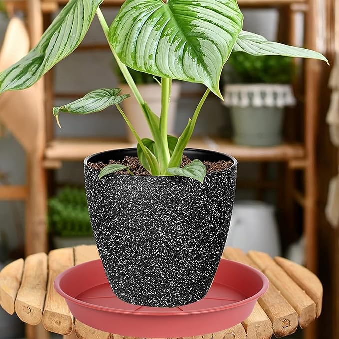 6 Pack of Plant Saucer Tray 4 6 8 10 12 14 17 19 22 25 inch, Heavy Duty Plastic Pot Plant Drip Trays Saucers for Indoors Outdoor, Plant Water Tray for Planters 4-7" (6", Clay)
