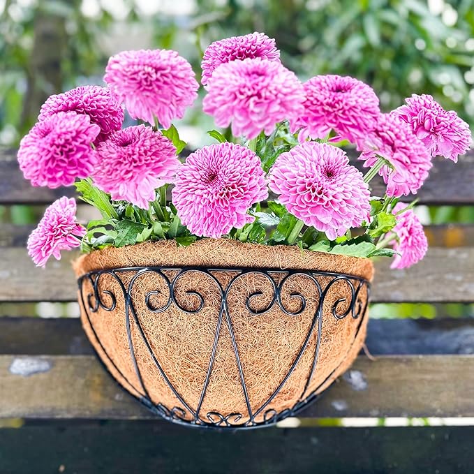 LaLaGreen Outdoor Wall Planters (4 Pack, 12 Inch) Black Metal Wall Mounted Hanging Basket with Coco Liner, Flower Pot Plant Holder Semi-Circle Planter for Fence Railing Deck Porch Balcony Garden Decor