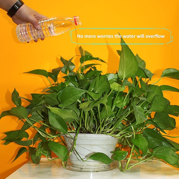 Gardzen Heavy Duty Clear Plastic Plant Saucers, Flower Pot Tray - Excellent for Indoor & Outdoor Plants (8-Inch, 10-Pack)