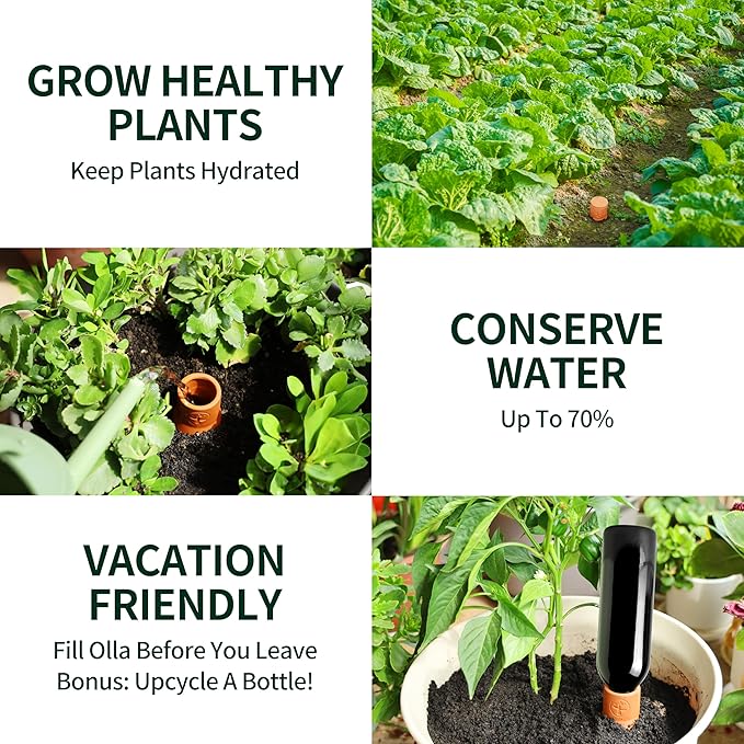 16 oz Ollas Self Watering Terracotta Pots, Olla Plant Watering Globes, Self Watering Planter Insert for Outdoor & Indoor Plants, Vacation Watering Devices Spikes Waterer System, 2 Pack