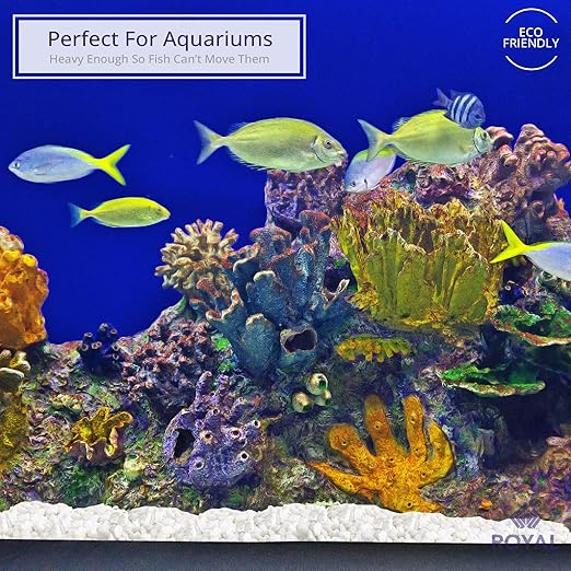 River Rocks Decorative Ornamental Vase Filler Aquarium Gravel White, Mini 5 lbs - Landscaping Pebbles for Indoor Plants, Fish Tank Gravel, Terrarium & Home Decor, DIY & Crafting – Royal Imports