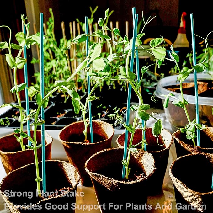 50 pcs 18 Inch Plant Sticks Support, Floral Plant Support, Wooden Sign Posting Green Bamboo Garden Sticks with Garden Ties