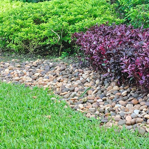 5lbs River Rocks for Landscaping, 2"-3" Decorative Garden Stones for Plants, Flower Pots, Vase, Walkways, Yard, Natural Rocks for Aquarium, Fish Tank