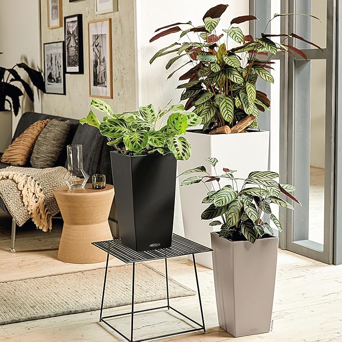 Lechuza 13138 Cubico Color 30 Self-Watering Planter for Indoor and Outdoor Use, 12" x 12" x 22", Slate