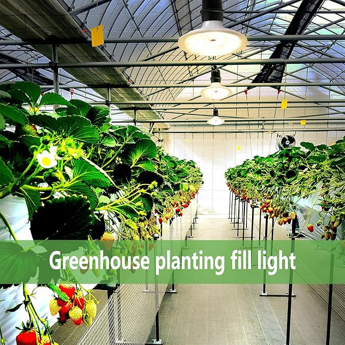 Outdoor LED Grow Lights, Waterproof String Grow Light, Full Spectrum Plant Growing Lights with 22Ft Adjustable Cord 6 Lights