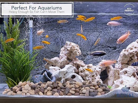 River Rocks Decorative Ornamental Vase Filler Aquarium Gravel Natural, Small 5 lbs -Landscaping Pebbles for Indoor Plants, Fish Tank Gravel, Terrarium Decor, Home Decor, DIY & Crafting – Royal Imports