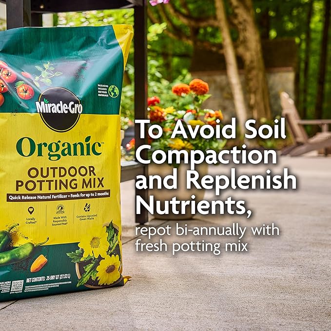 Miracle-GRO Organic Outdoor Potting Mix, for Outdoor Container Plants, Contains Quick-Release Natural Fertilizer, OMRI Listed, 16 qt.
