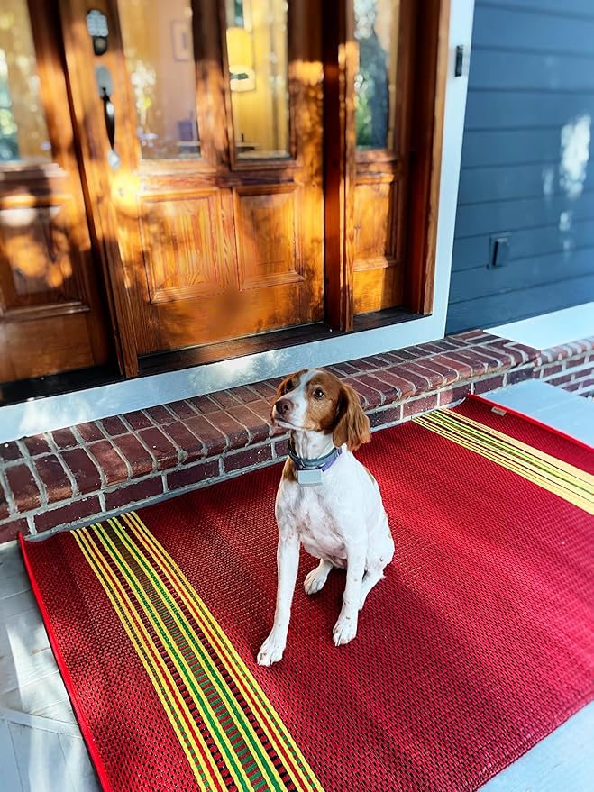 Mad Mats Traditional Outdoor Rug, Reversible Plastic Mat (4' x 6', Serape - Dark Red)