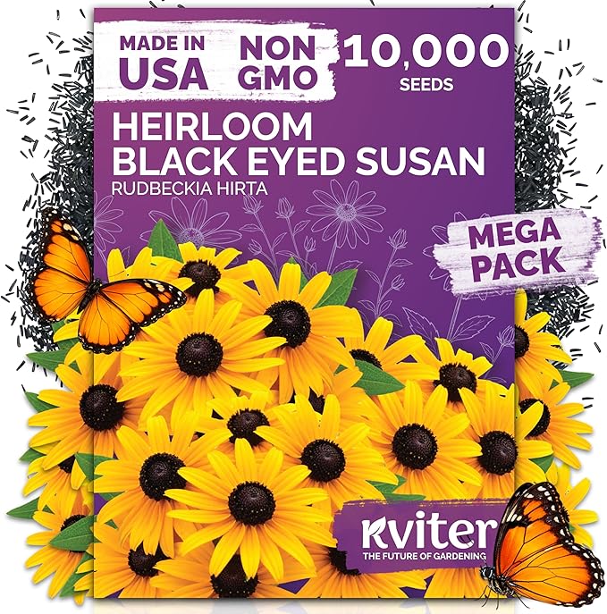 KVITER 10,000 Black Eyed Susan Seeds for Planting (Rudbeckia hirta) – Gloriosa Daisy Wildflower Seed, Heirloom, Non-GMO & Organic – Flower Seeds to Plant Outside & Inside, Borders, Containers