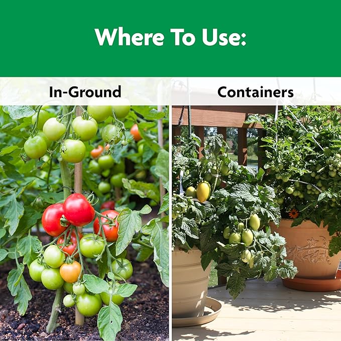 Miracle-Gro Shake 'N Feed Tomato, Fruit & Vegetable Plant Food, Plant Fertilizer, 4.5 lbs. (6-Pack)