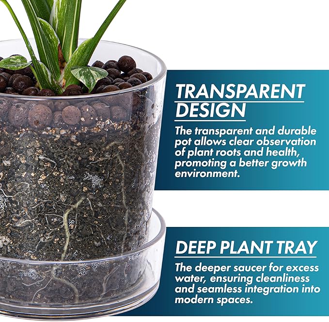 Phoenix Vine 6.5 Inch Clear Acrylic Planter Pot with Tray, Orchid Pot with Drainage Holes, Deep Saucer for Bottom Watering, Transparent Containers for Indoor Plants, Herbs, Set of 1, 91-A-F-1