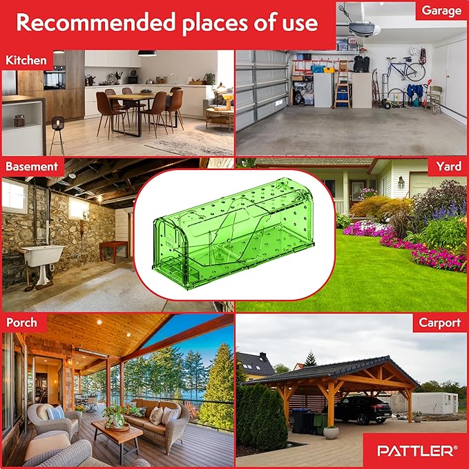 PATTLER® | Large Humane Mouse Trap for Indoor and Outdoor Home | Mechanical Reusable Live Mouse Traps Catch and Release Mice from Garden, Garage, Attic, Inn, Hotel | Green | Pack of 2