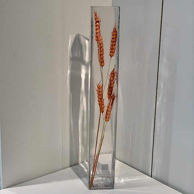 WGV Tall Square Vase Glass Block Bulk, Length 4", Height 20", Clear Floral Container, Masterpiece, Planter Terrarium for Wedding Party Event, Home Office Decor, 6 Pieces