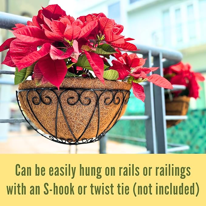 LaLaGreen Outdoor Wall Planters (2 Pack, 12 Inch) Black Metal Wall Mounted Hanging Basket with Coco Liner, Flower Pot Plant Holder Semi-Circle Planter for Fence Railing Deck Porch Balcony Garden Decor