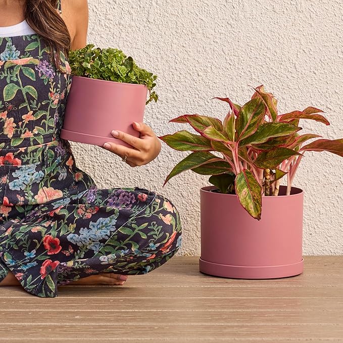 Bloem Mathers 6" Dusty Rose Round Modern Resin Garden Planter Pot with Drainage Holes and Removable Saucer Tray Included
