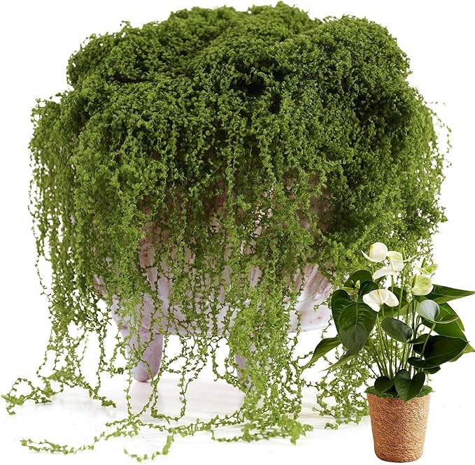 Fake Moss for Potted Plants Indoor, 7OZ Green Moss for Crafts - Realistic Faux Moss Decor for DIY, Terrariums, Fairy Gardens & Table Centerpieces - Craft Moss for Home Decor (Natural Green)