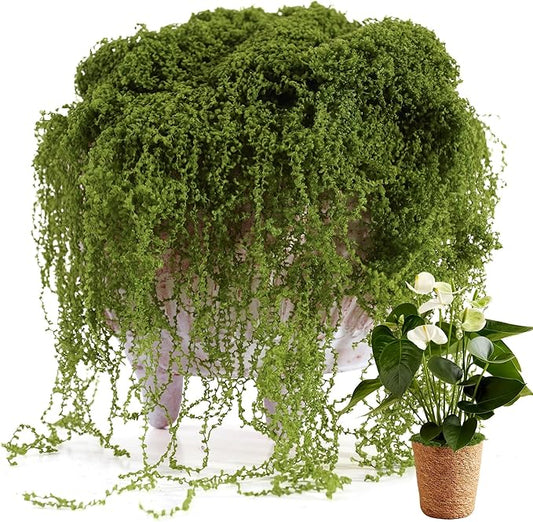 Fake Moss for Potted Plants Indoor, 7OZ Green Moss for Crafts - Realistic Faux Moss Decor for DIY, Terrariums, Fairy Gardens & Table Centerpieces - Craft Moss for Home Decor (Natural Green)
