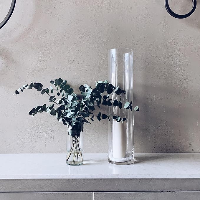WGVI Quality Thick Clear Cylinder Glass Vases, 3" W x 8" H, Bud Vase Skinny Narrow Floral Bouquet Flower Container for Wedding Centerpieces Tabletop Décor Brush Pen Holder, Bulk Wholesale, 6 Pieces