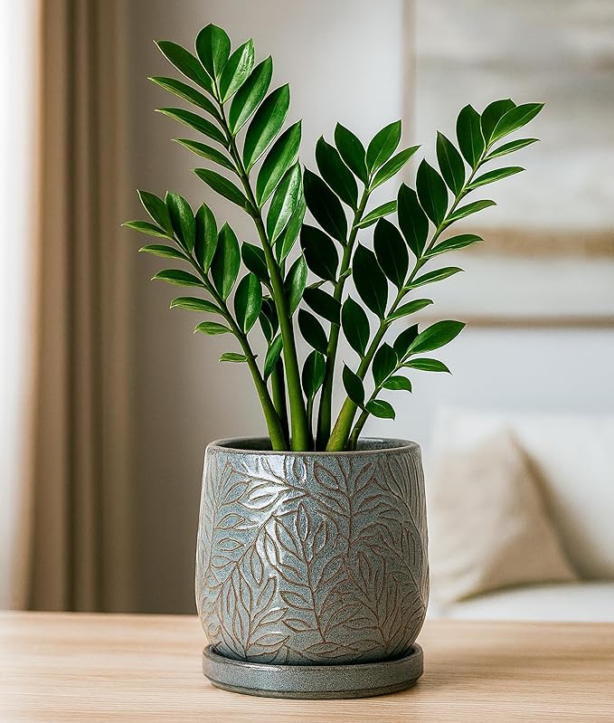 D'vine Dev 6 Inch Embossed Leaves Stoneware Planter Pot with Drainage Hole and Saucer, Graphite Blue, 27-A-X-9