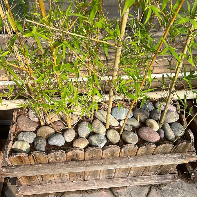 20 lbs Large River Rocks for Outdoor Landscaping, 3-4 Inch Decorative Pebbles for Landscaping Garden Yard Paving Fish Tank Plant Crafting Walkways and Painting