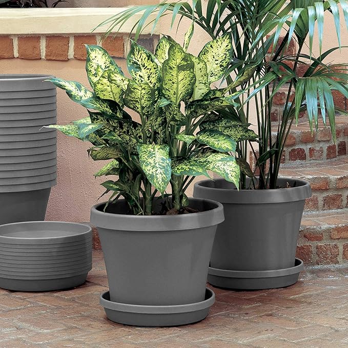 Bloem Terra Resin Saucer Tray: 8" Bottom Width - Charcoal Gray - Matte, Durable, Ribbed Bottom, Indoor and Outdoor, Fits 10" Terra Planters