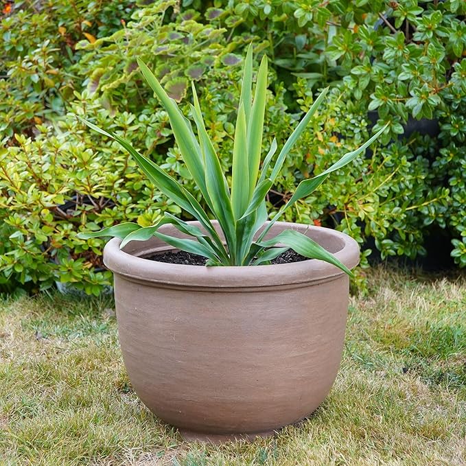 Crescent Garden Agave Planter, Classic Lightweight Resin Planter - UV-Resistant Flower Pots - Indoor & Outdoor Pot for Flowers, Houseplant, Herbs, 14" W x 11" H (Caviar Black)