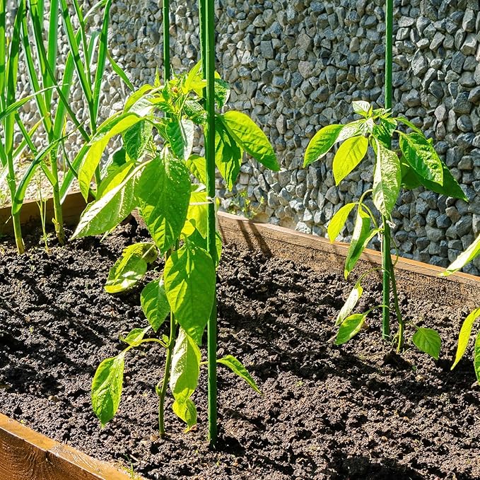 uxcell 20pcs Green Plant Support Stakes, 15.7" Bendable Garden Plant Sticks Plastic Single Stem Plants Support Stakes with Ties for Potted Plants Flowers Orchid Peony, Green