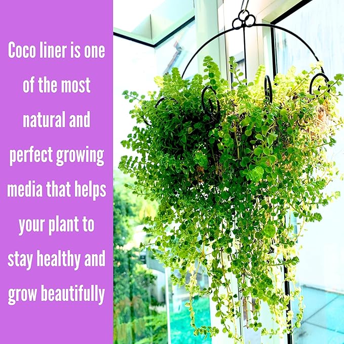 Shoplala Wall Hanging Planter for Outdoor (2 Pack, 10 Inch) Black Metal Hanging Flower Basket for Plants, Wall Planters with Coco Liner Indoor Wall Mounted Plant Holder Outside Balcony Fence Rail Deck