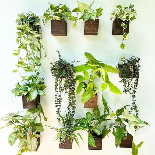 LaLaGreen Indoor Planter Box for Plants (4x4 Inch, 12 Pack) Small Square Wooden Wall Mounted Planters Wood Window Boxes Hanging Flower Pot Plant Holder Outdoor Herb Modern Vertical Garden Home Decor