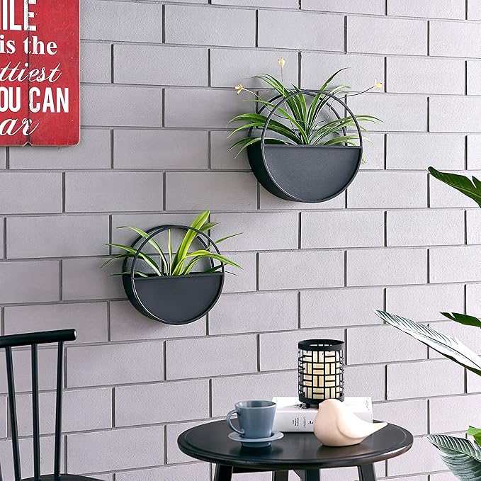 Danya B Round 2-Piece Iron Wall Planter Set Black - for Succulent, Mini Cactus, Air, & Faux Plants