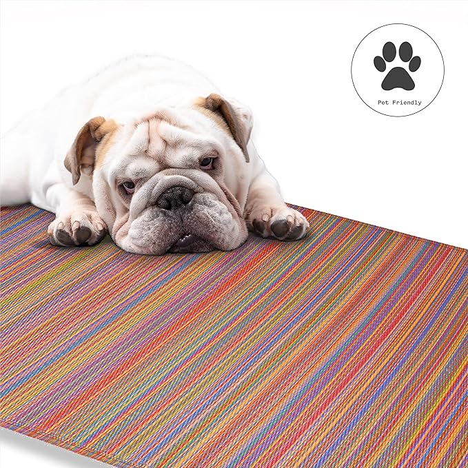 Fab Habitat Outdoor Rug - Waterproof, Fade Resistant, Crease-Free - Premium Recycled Plastic - Striped - Porch, Deck, Balcony, Mudroom, Laundry Room, Patio - Cancun - Multicolor - 3 x 5 ft