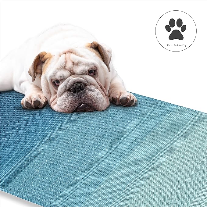 Fab Habitat Ombre Outdoor Rug - Waterproof, Fade Resistant, Crease-Free, Reversible - Premium Recycled Plastic - Patio Porch Balcony Deck - Big Sur Teal - 8x10 ft