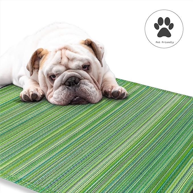 Fab Habitat Striped Outdoor Rug - Waterproof, Fade Resistant, Crease-Free, Reversible - Premium Recycled Plastic - Patio Porch Balcony Deck - Cancun Green - 8x10 ft