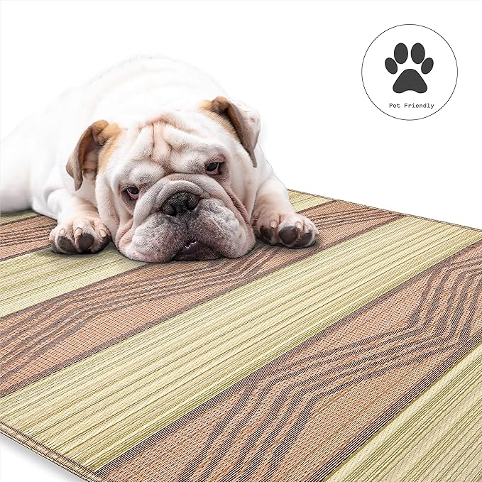 Fab Habitat Outdoor Rug - Waterproof, Fade Resistant, Crease-Free - Premium Recycled Plastic - Tribal Boho - Porch, Deck, Balcony, Mudroom, Laundry Room, Patio - Lagos - Sand & Coral - 3 x 5 ft
