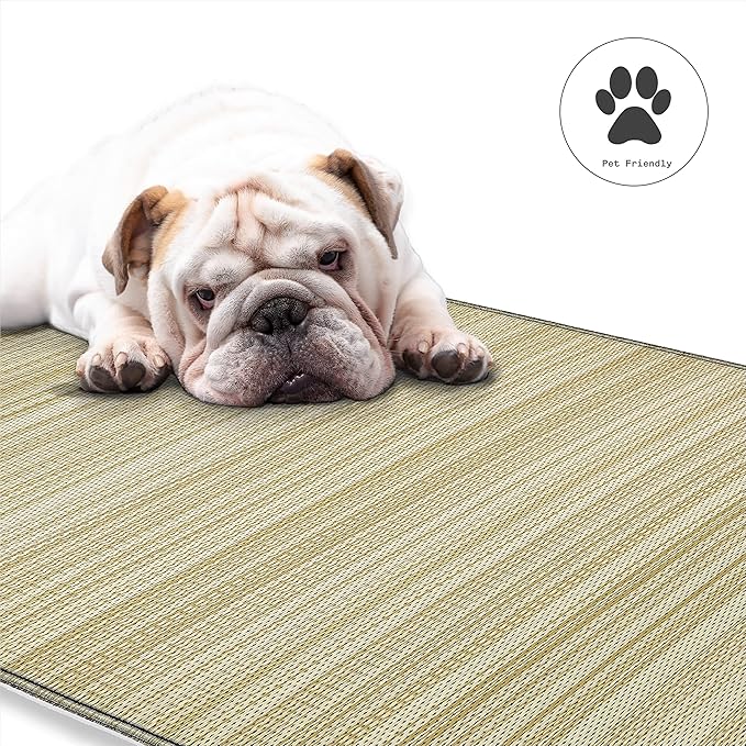 Fab Habitat Outdoor Rug - Waterproof, Fade Resistant, Crease-Free - Premium Recycled Plastic - Neutral Striped - Large Patio, Deck, Sunroom, Camping, RV - Cancun Shadow - Sand & Black - 6 x 9 ft