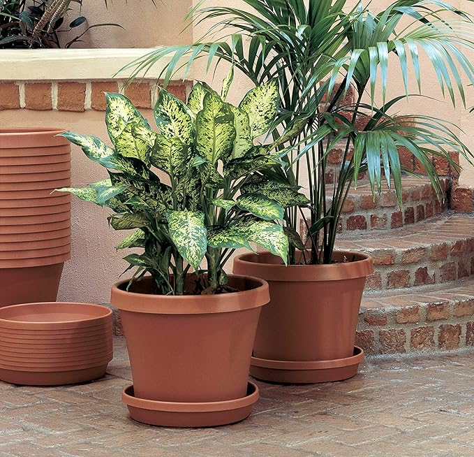 Bloem Terra Resin Saucer Tray: 9.25" Bottom Width - Chocolate Brown - Matte, Durable, Ribbed Bottom, Indoor and Outdoor, Fits 12" Terra Pots